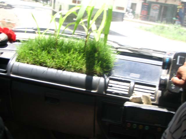fieldoftaxi