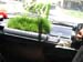 fieldoftaxi